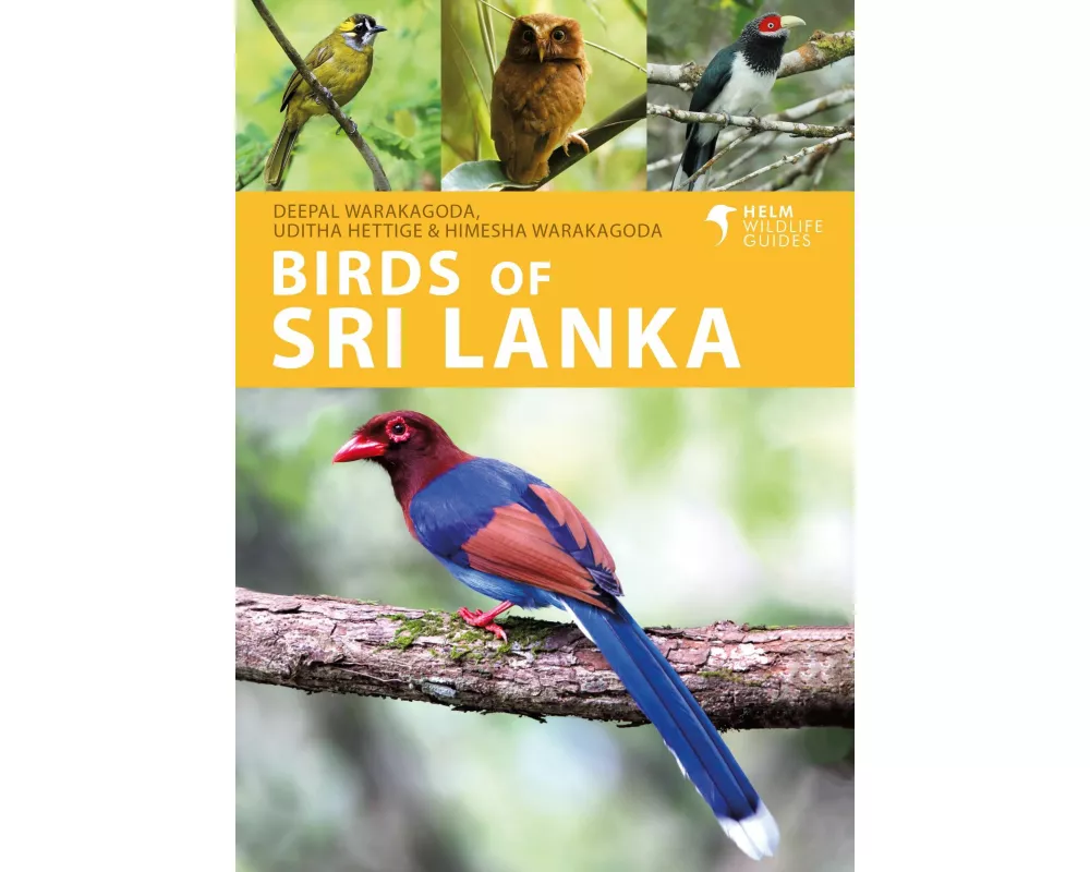 Birds of Sri Lanka