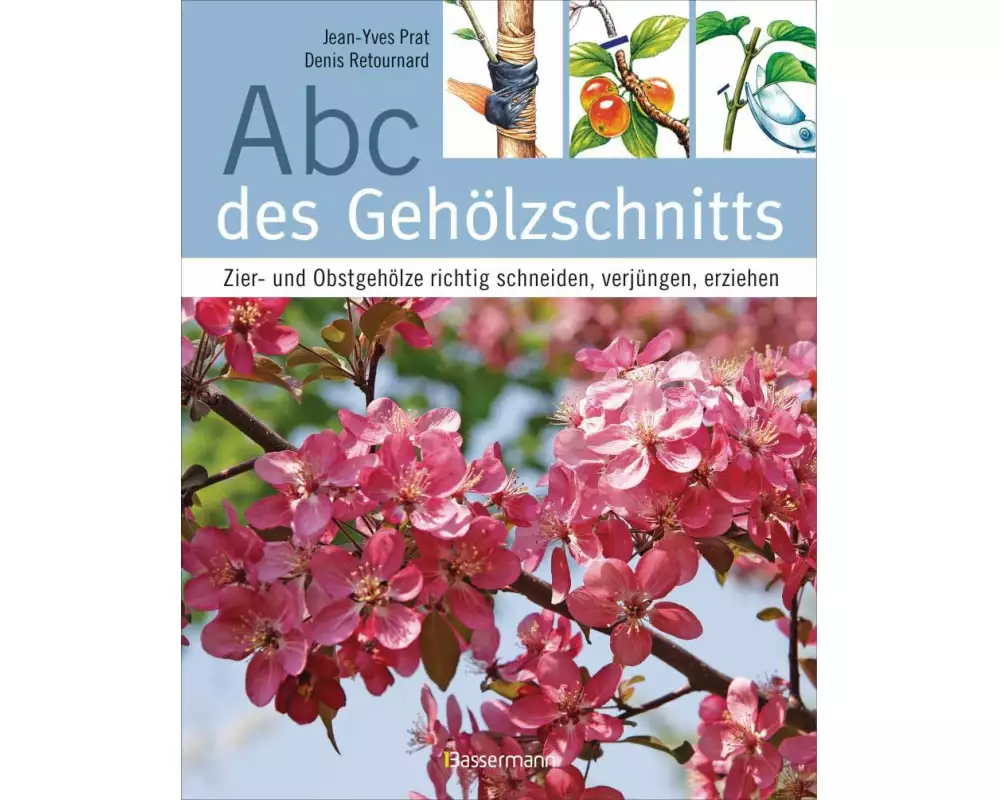 Abc des Gehölzschnitts