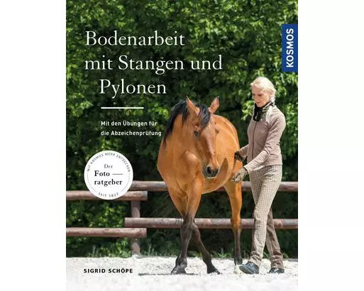 Bodenarbeit mit Stangen und Pylonen