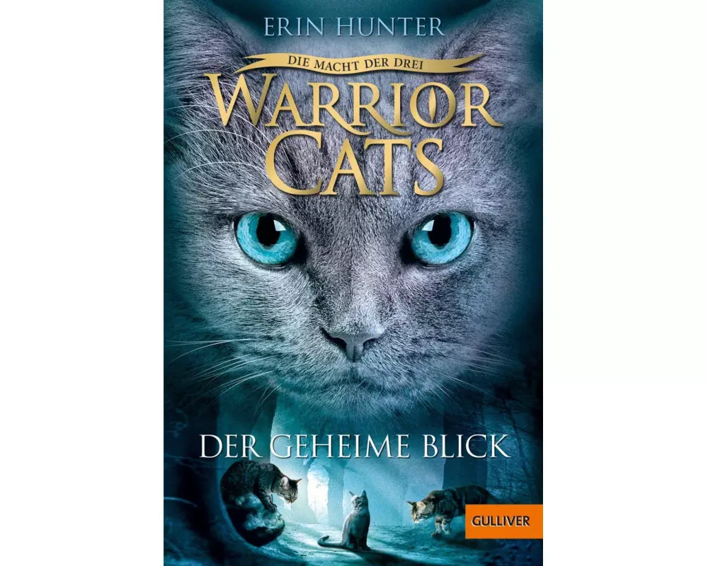 Warrior Cats - Die Macht der Drei. Der geheime Blick