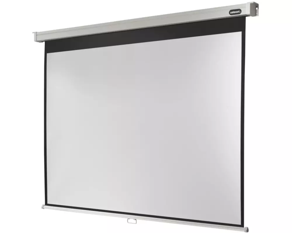 Celexon Rollo-Leinwand Pro 220x165cm 4:3