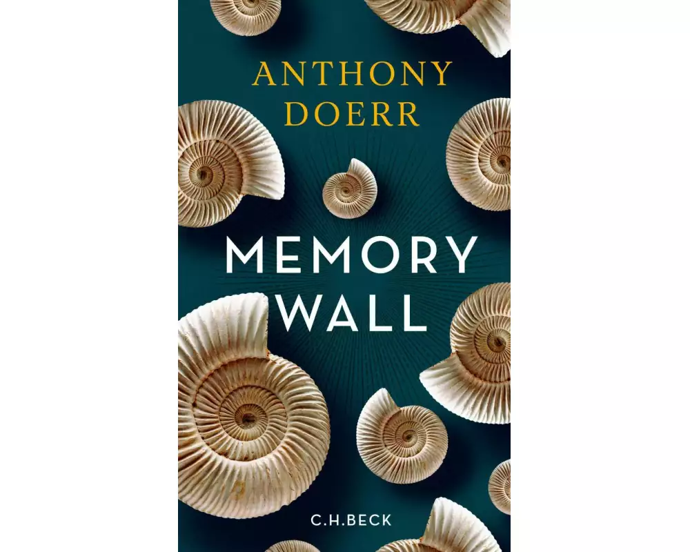 Memory Wall