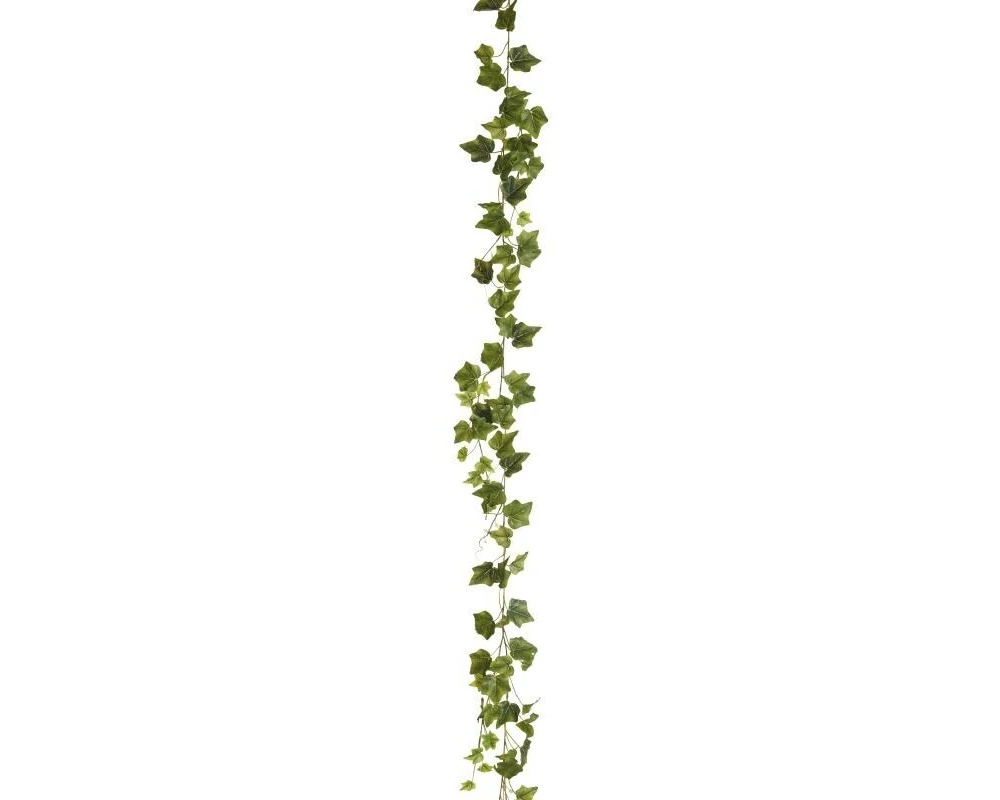 Botanic-Haus Efeugirlande Grün 180 cm