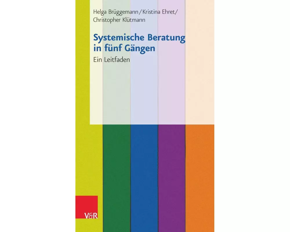 Systemische Beratung in fünf Gängen