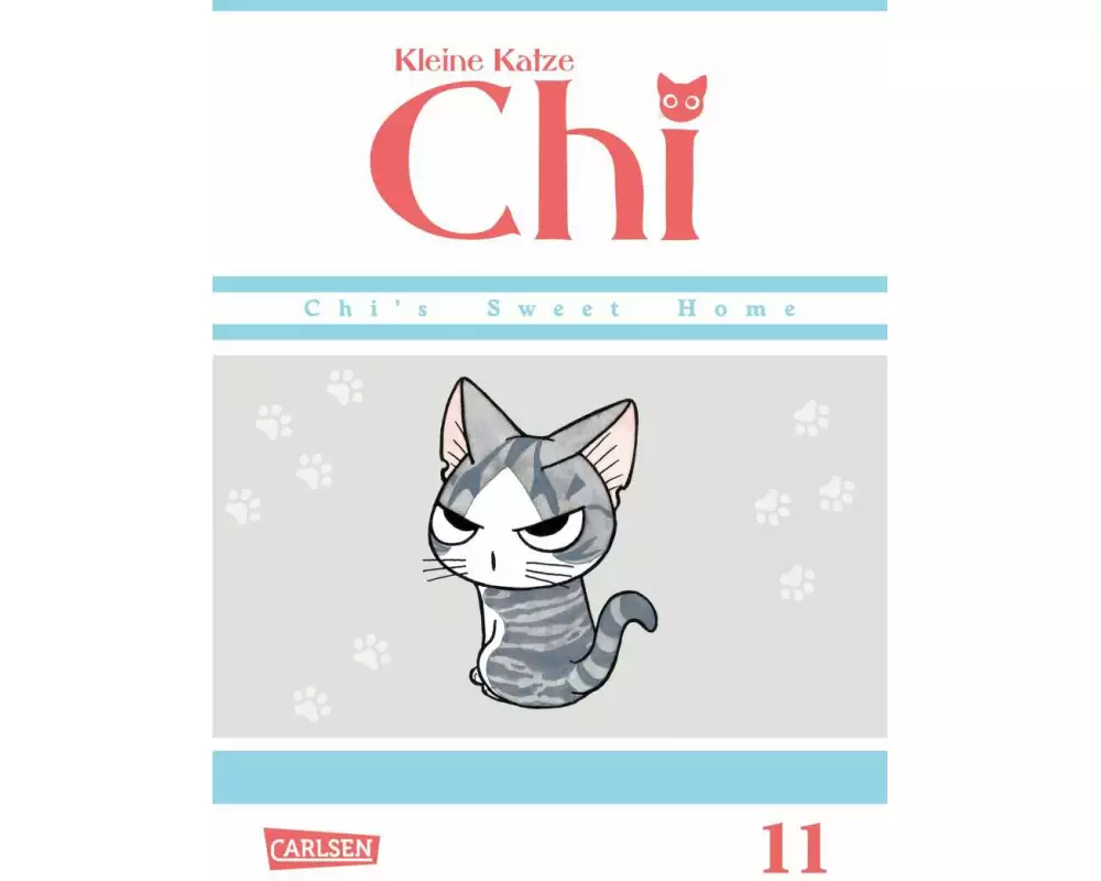 Kleine Katze Chi 11