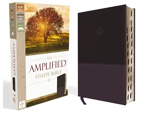 The Amplified Study Bible, Leathersoft, Purple, Thumb Indexed