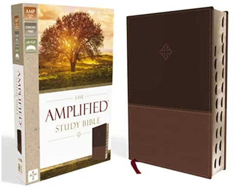 The Amplified Study Bible, Leathersoft, Brown, Thumb Indexed