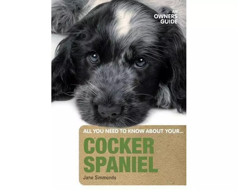 Cocker Spaniel