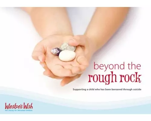 Beyond the Rough Rock