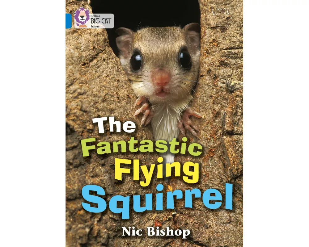 The Fantastic Flying Squirrel