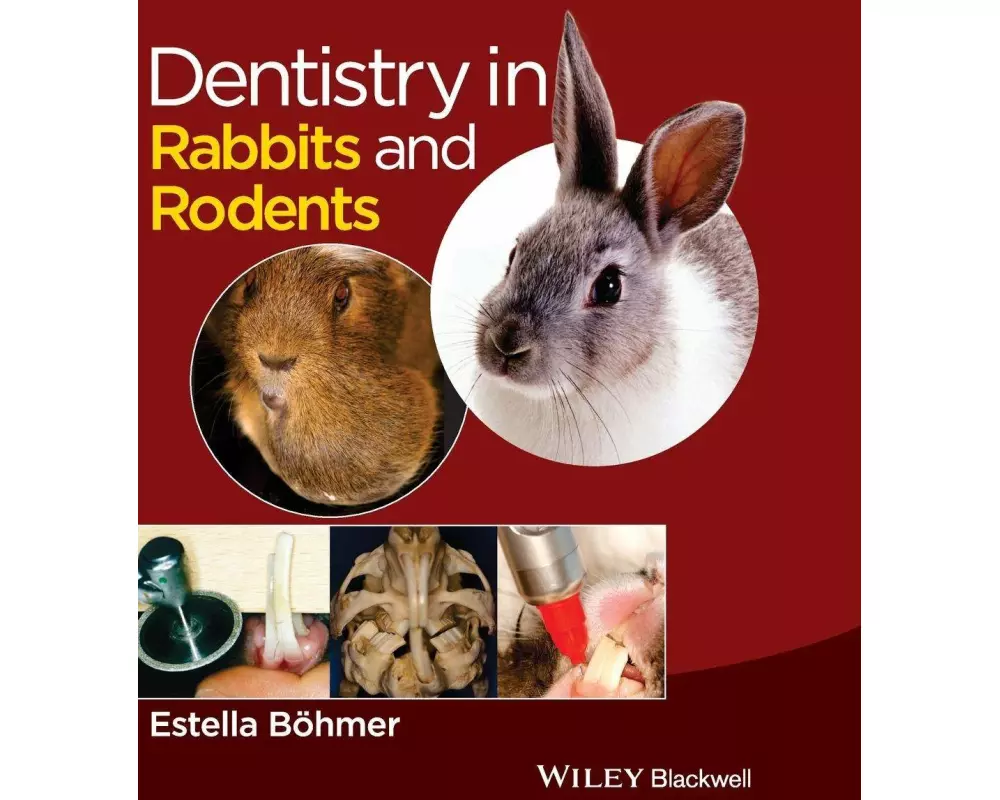 Dentistry in Rabbits and Rodents