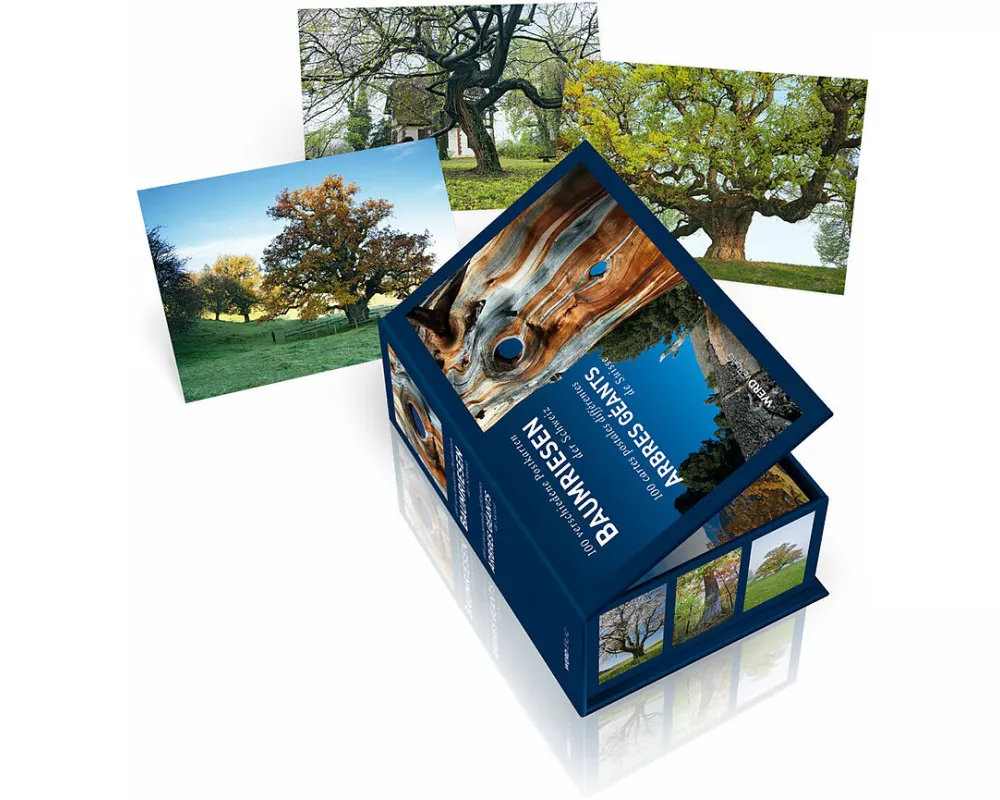 Postkartenbox Baumriesen der Schweiz