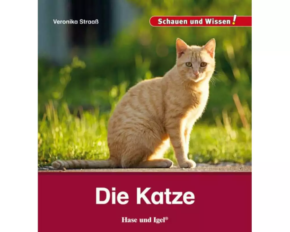 Die Katze