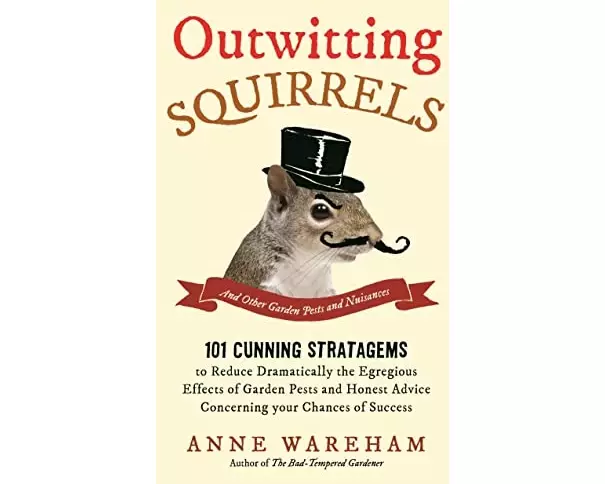 Outwitting Squirrels