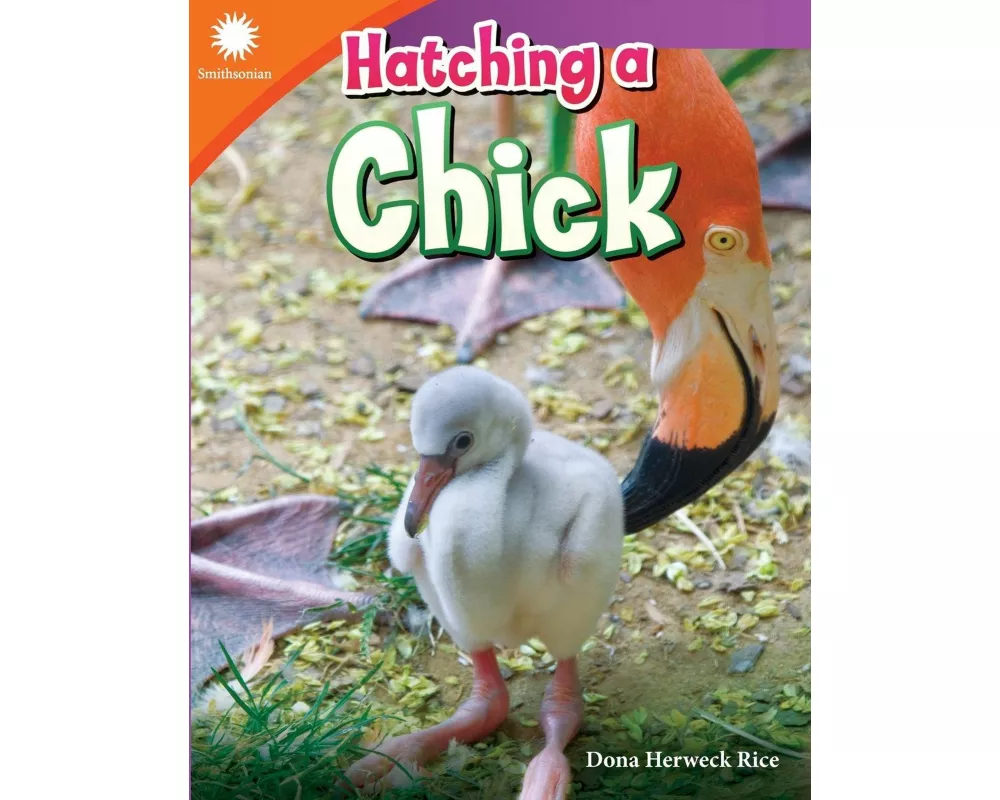Hatching a Chick