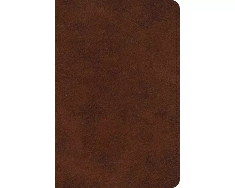 ESV Large Print Bible