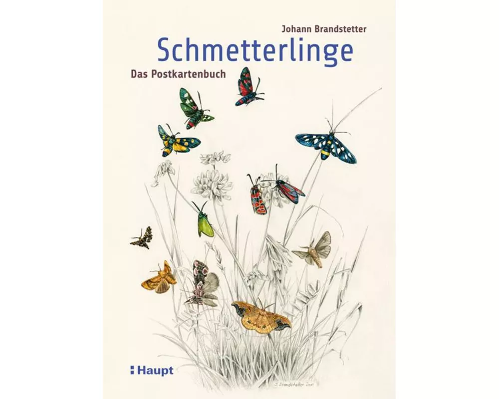Schmetterlinge - Das Postkartenbuch