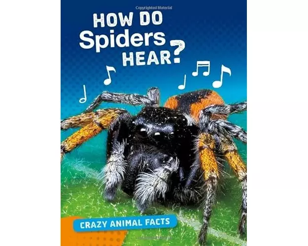 How Do Spiders Hear?
