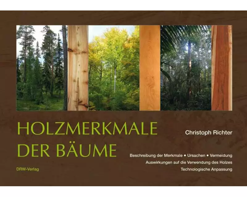 Holzmerkmale der Bäume