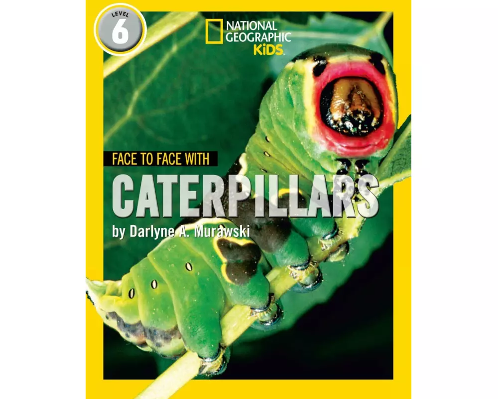 Face to Face with Caterpillars