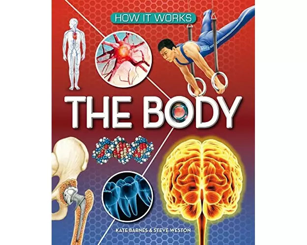 How It Works: The Body