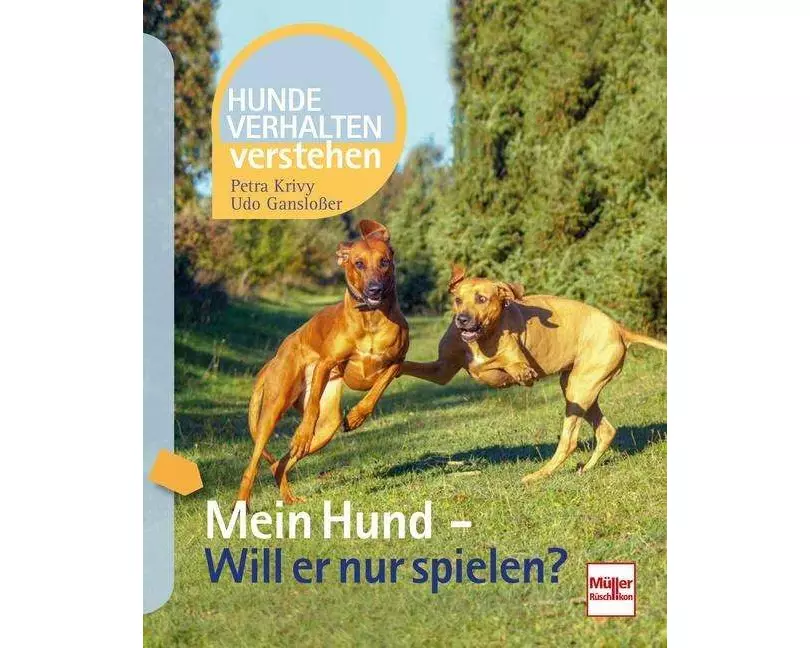 Mein Hund - Will er nur spielen?
