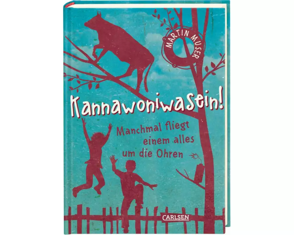 Kannawoniwasein 2: Manchmal fliegt einem alles um die Ohren