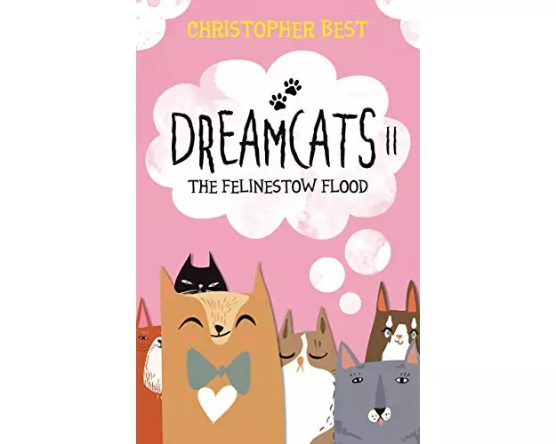 Dreamcats II
