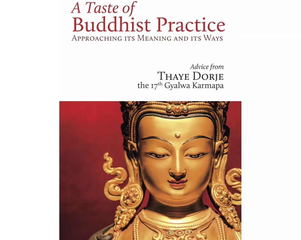 A Taste of Buddhist Practice
