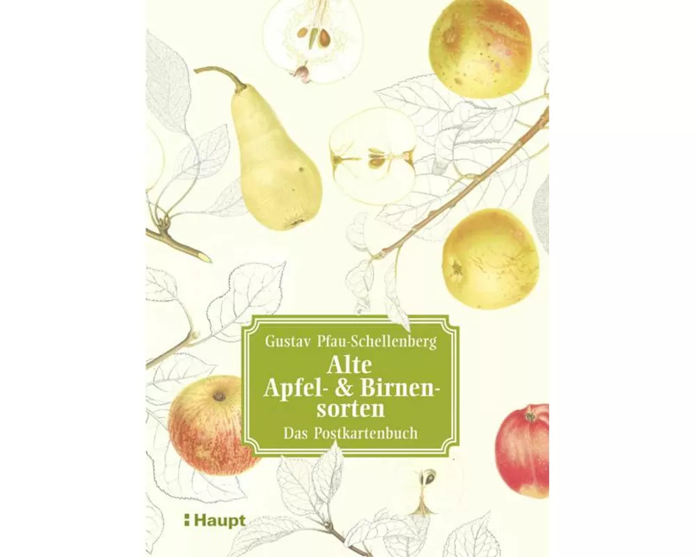 Alte Apfel- & Birnensorten - Das Postkartenbuch