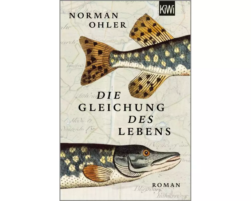 Die Gleichung des Lebens