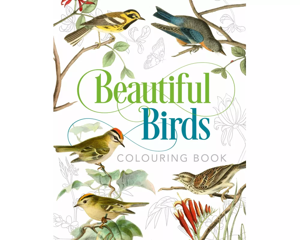 Beautiful Birds Colouring Book