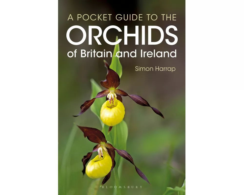 Pocket Guide to the Orchids of Britain and Ireland