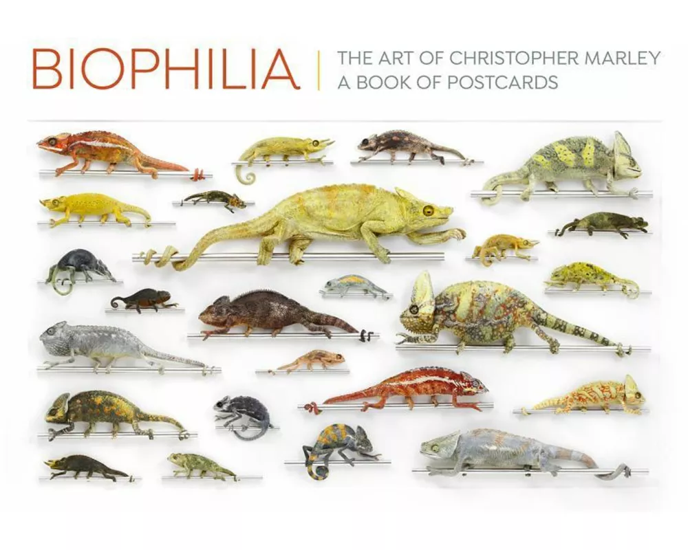 Biophilia the Art of Christopher Marley