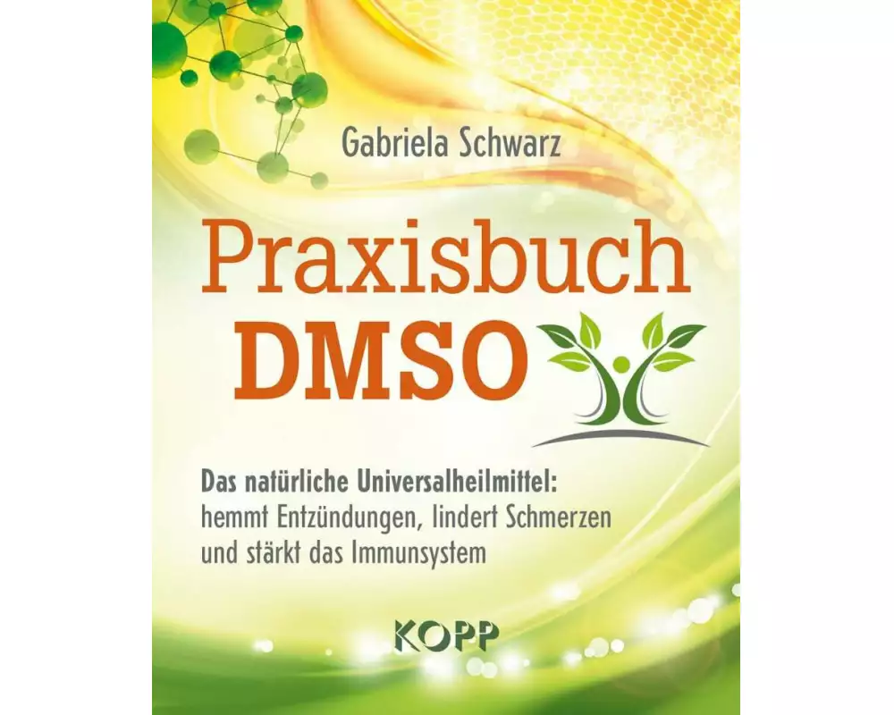 Praxisbuch DMSO