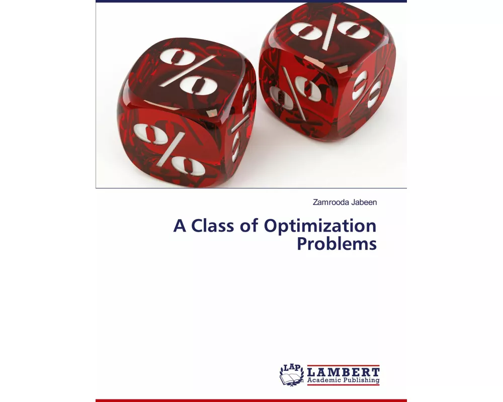 A Class of Optimization Problems