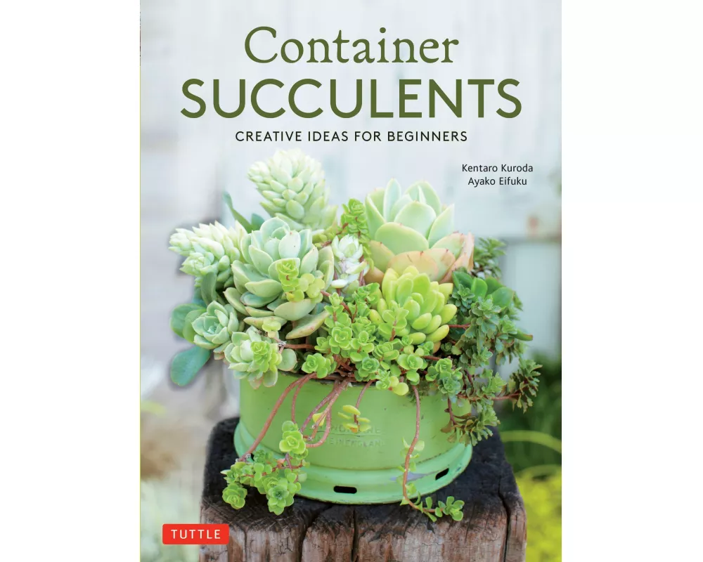 Container Succulents