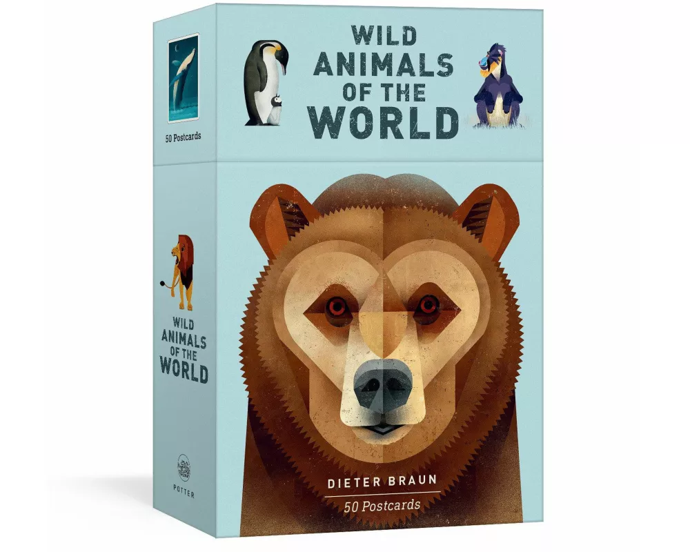 Wild Animals of the World: 50 Postcards