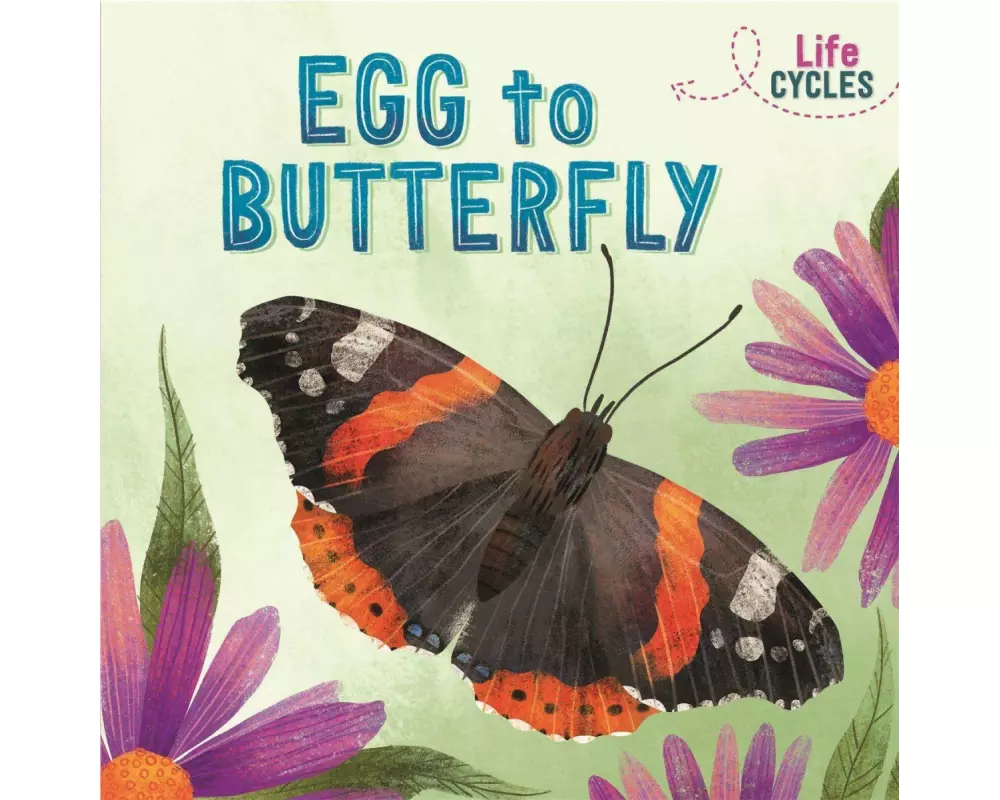 Life Cycles: Egg to Butterfly