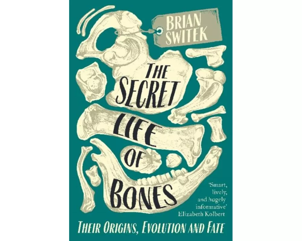 The Secret Life Of Bones