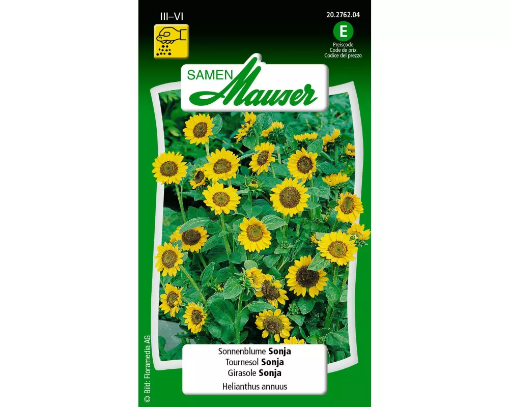Samen Mauser Saatgut Sonnenblume Sonja