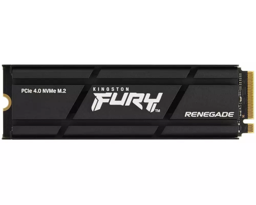 NVMe SSD FURY Renegade 500GB Heatisnk
