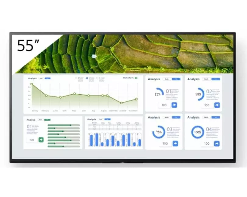 Sony Public Display FW-55BZ30L 55 "