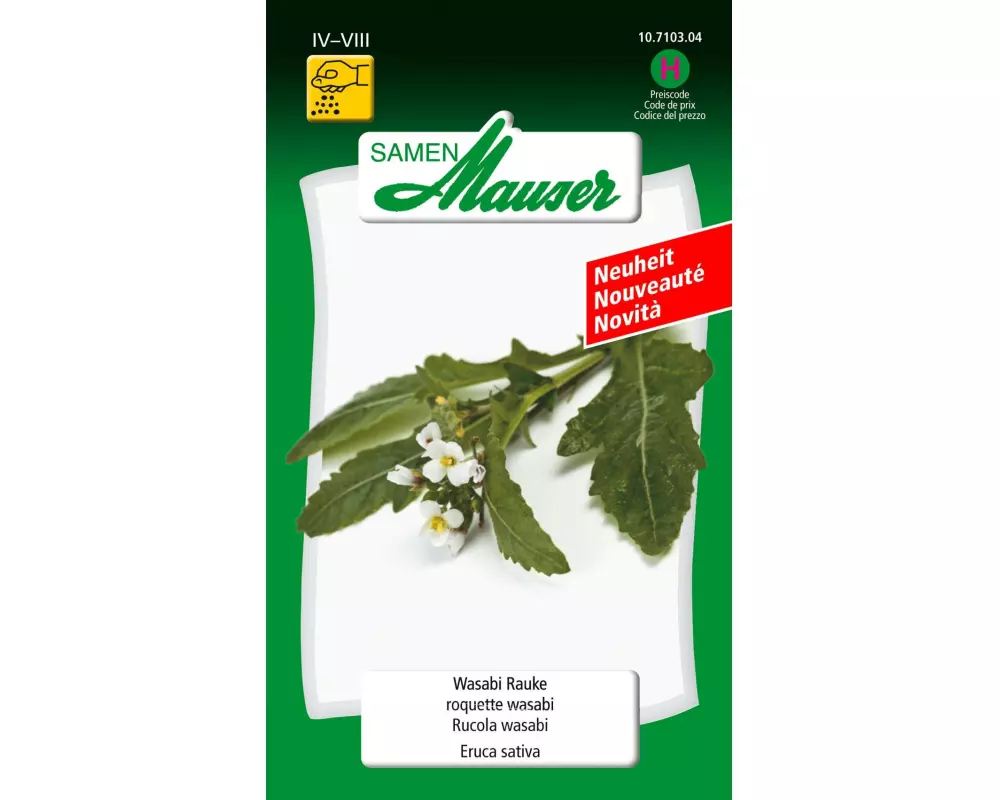 Samen Mauser Samen Wasabi Rauke