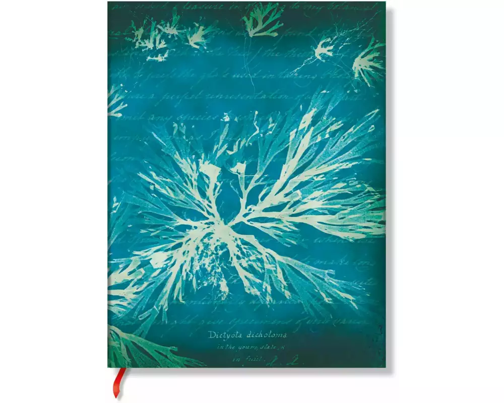 Paperblanks Notizbuch Meeresblumen 9 x 14 cm, Liniert