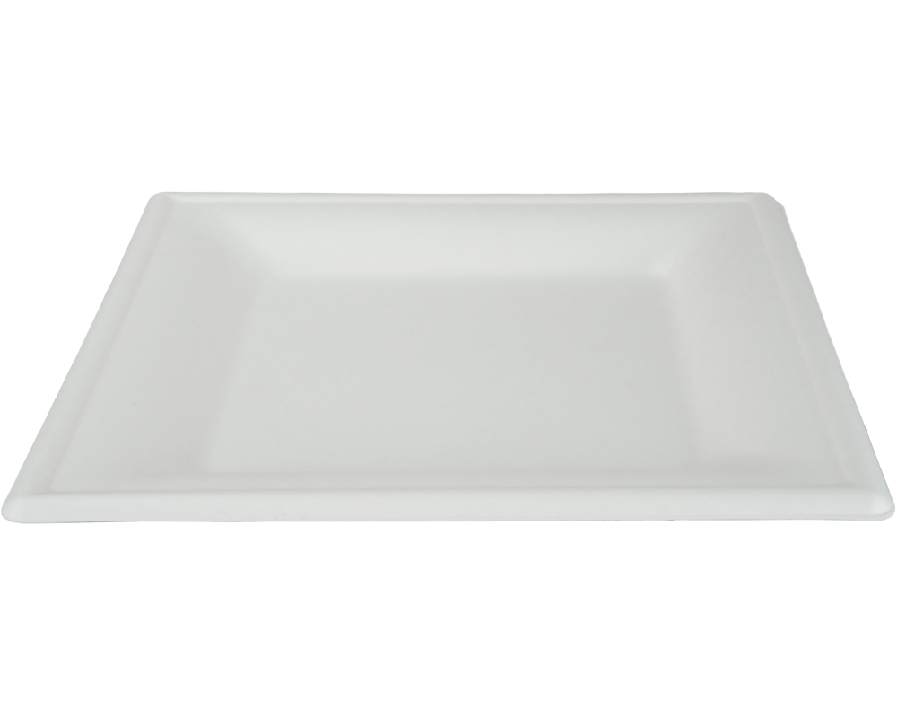 EJS Teller aus Bagasse 26x26cm 3142.201 weiss 125 Stk.