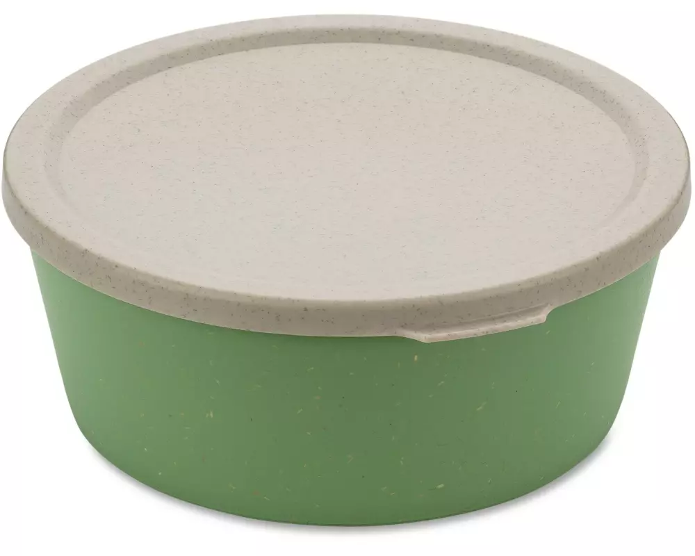 Koziol Vorratsbehälter Connect 0.4 l, Grün