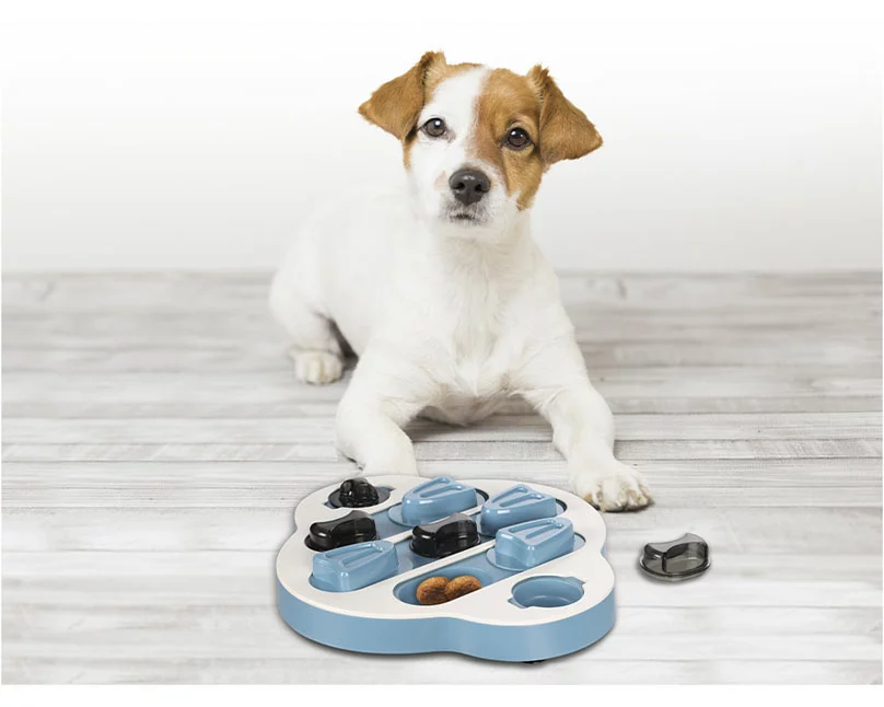 Flamingo Brain Train Sherlock Level 2