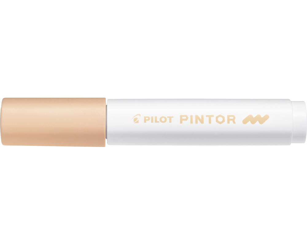 PILOT Marker Pintor M SW-PT-M-PO lachs