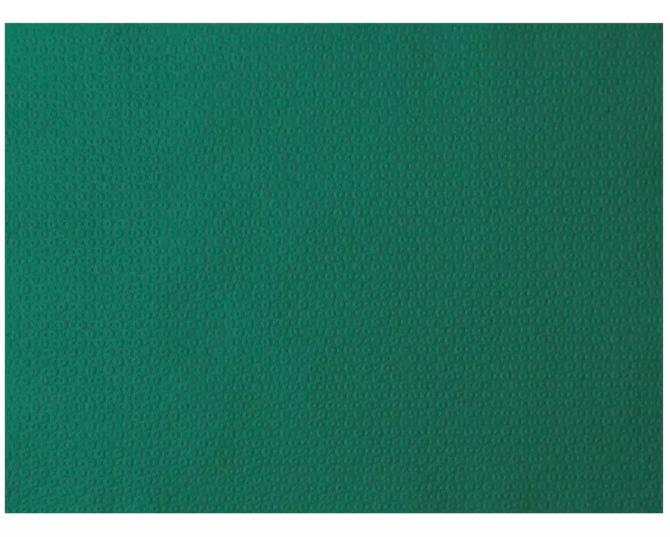 Duni Tischset 500 Stück 30 cm x 40 cm, Grasgrün